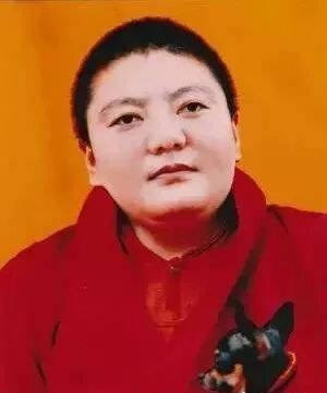 所达多杰仁波切相关影像